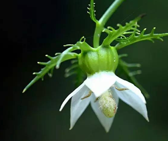 品牌logo營銷意義所在