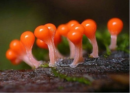 企業(yè)文化的精神所在