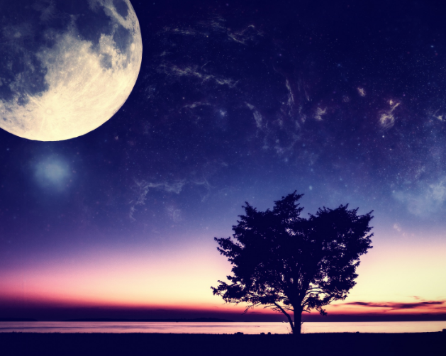 小學(xué)文化建設(shè)思想