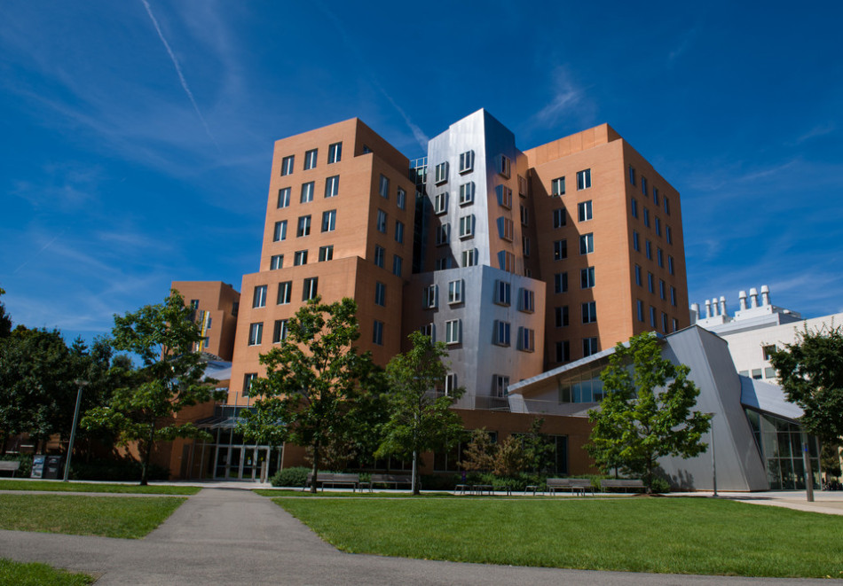 現(xiàn)代學(xué)校教育制度的類型簡述