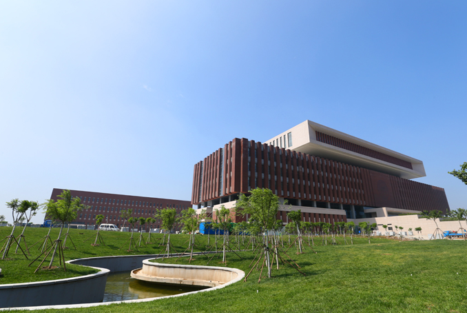 學院圖書館周邊綠化