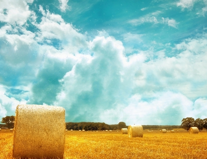 品牌設(shè)計(jì)在企業(yè)中起到的重要作用