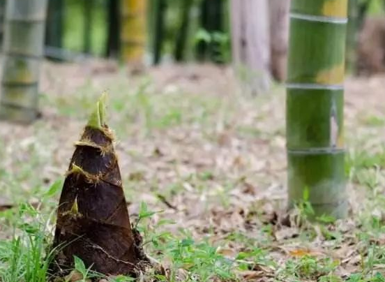 設(shè)計(jì)logo的好處及共同特點(diǎn)