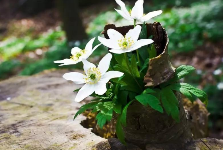 企業(yè)的品牌對市場具有一定開拓能力！