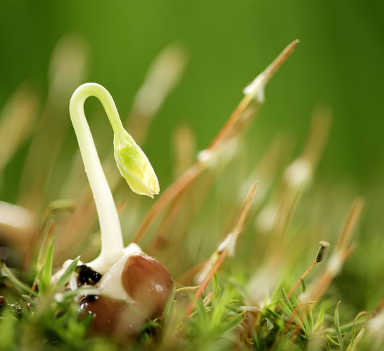 為什么企業(yè)會(huì)對(duì)LOGO這么重視！