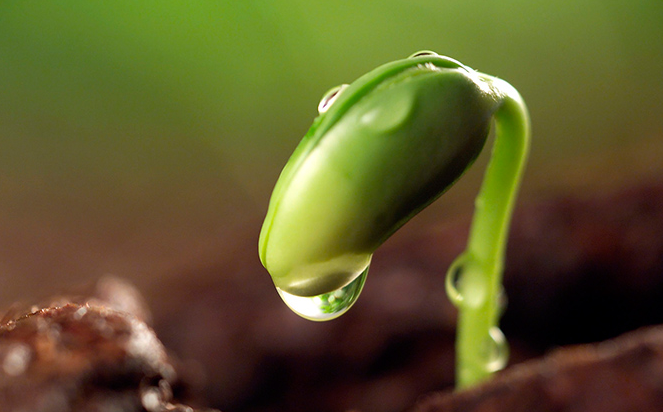 品牌是依據(jù)這些劃分的！