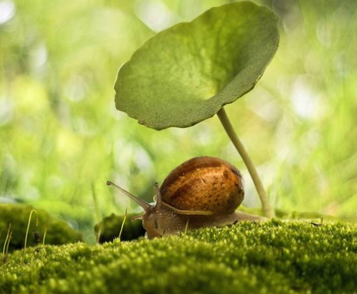 一位設(shè)計(jì)師的敘述！如何接納需求?