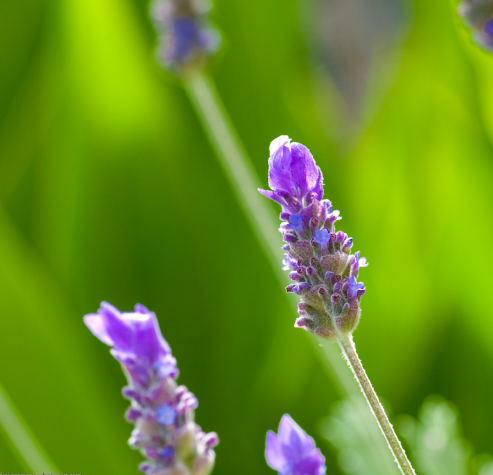 設(shè)計(jì)校園標(biāo)識(shí)的構(gòu)思、規(guī)范