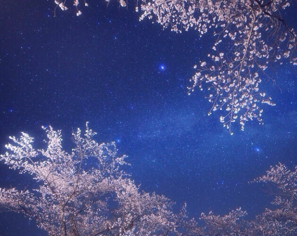 有關(guān)視覺設(shè)計(jì)的分析