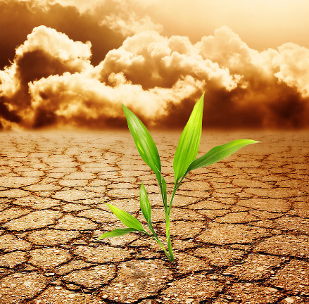 權(quán)衡布局及簡化設(shè)計(jì)