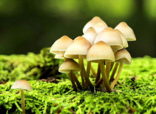 商標(biāo)logo設(shè)計(jì)對企業(yè)的影響力！