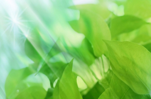 綠色生態(tài)校園的設(shè)計(jì)原則！