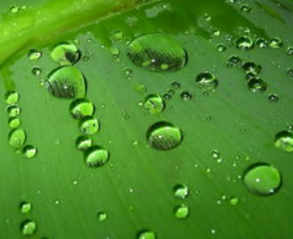 擴(kuò)展logo品牌的三大策略！