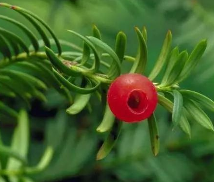 企業(yè)文化對(duì)企業(yè)來說的作用！