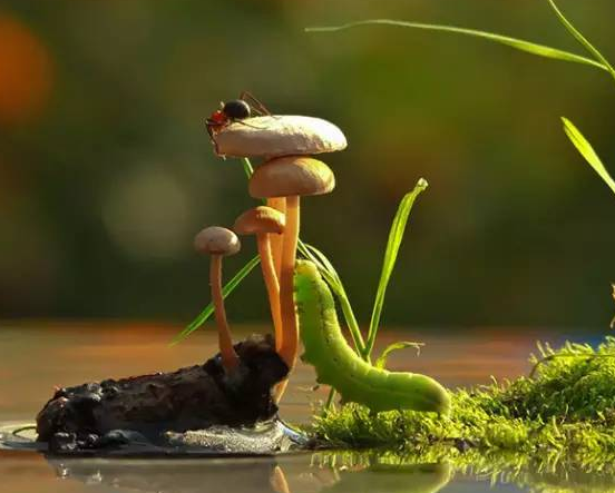 設(shè)計構(gòu)思的三大階段！