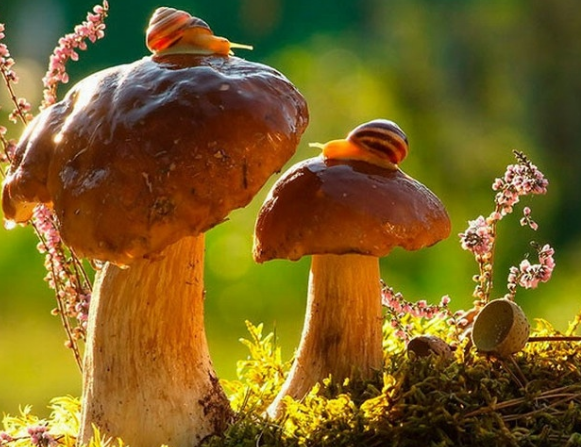 簡述客戶對設(shè)計的期待