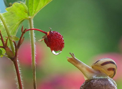 品牌設(shè)計(jì)好壞會(huì)影響品牌的效益！