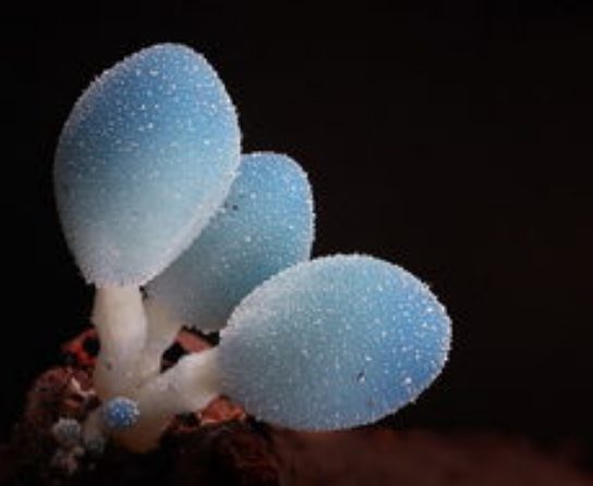 設(shè)計(jì)不僅僅只為引人注意！