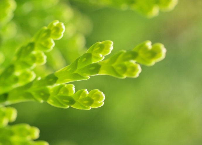 設(shè)計(jì)logo的價(jià)值！