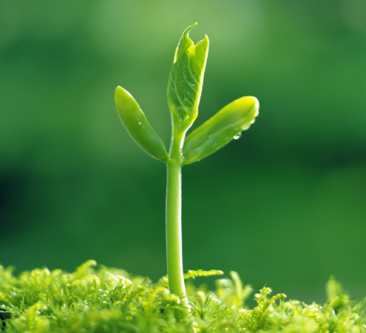 帶你里了解品牌的劃分