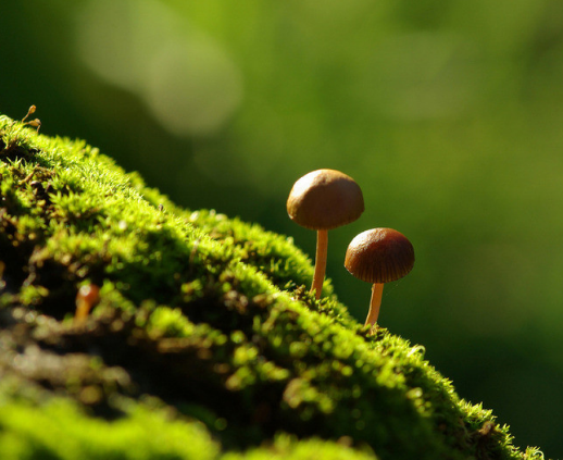 初學(xué)建筑師設(shè)計必須要了解的設(shè)計流程