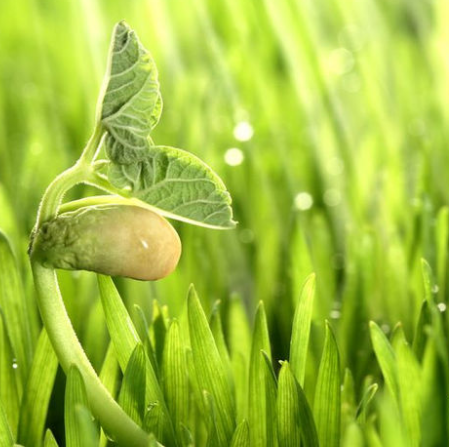 企業(yè)設(shè)計(jì)logo的好處、共同特點(diǎn)?。?！