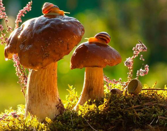 品牌對(duì)于企業(yè)來(lái)說(shuō)的含義和實(shí)質(zhì)！