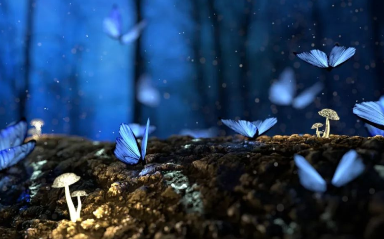 公共場(chǎng)所室內(nèi)設(shè)計(jì)有多少種！