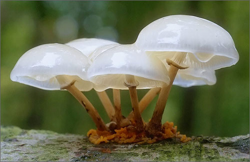 設(shè)計傳遞信息的要求以及客戶對設(shè)計的期待！