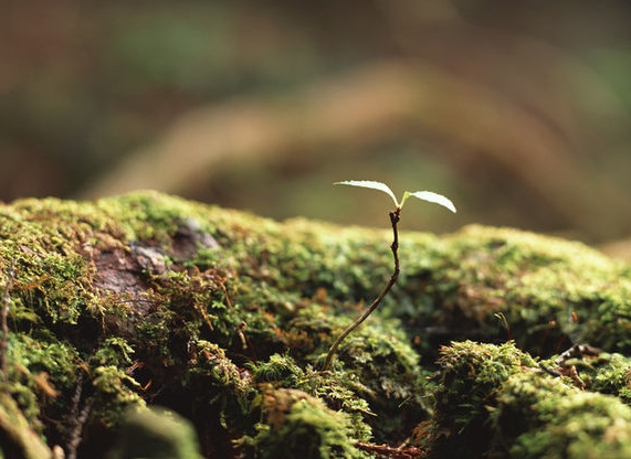 校園文化滲透孩子的內(nèi)心世界！