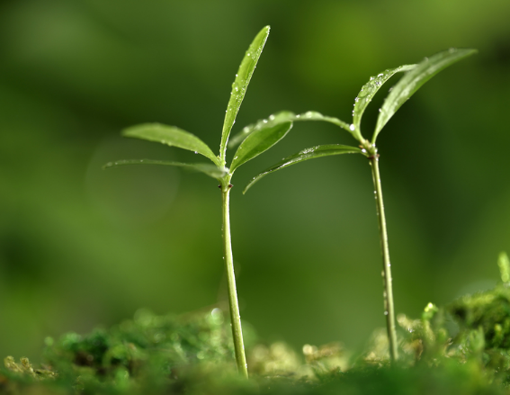 校園文化對(duì)幼兒的重要性大嗎？