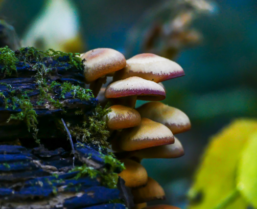 LOGO對(duì)于企業(yè)來(lái)說(shuō)的魅力！