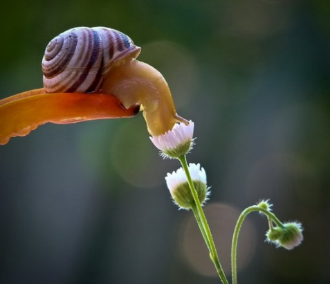 企業(yè)對設(shè)計的期待！