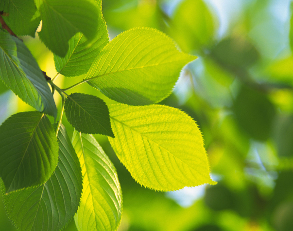加強社團文化建設(shè)對校園文化的影響！