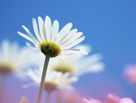 校園文化的功能、重要性簡述！