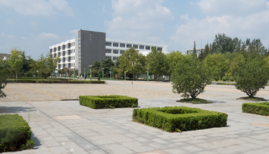 簡(jiǎn)述不同教育階段的校園變化！