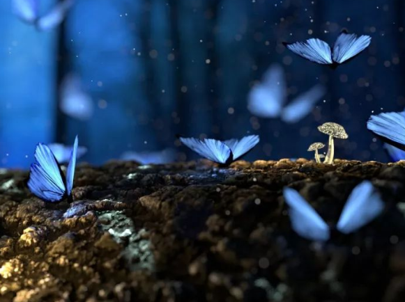 新時(shí)代大學(xué)校園文化建設(shè)的基礎(chǔ)方針！