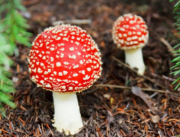 室內(nèi)設(shè)計(jì)的表達(dá)形式體現(xiàn)！