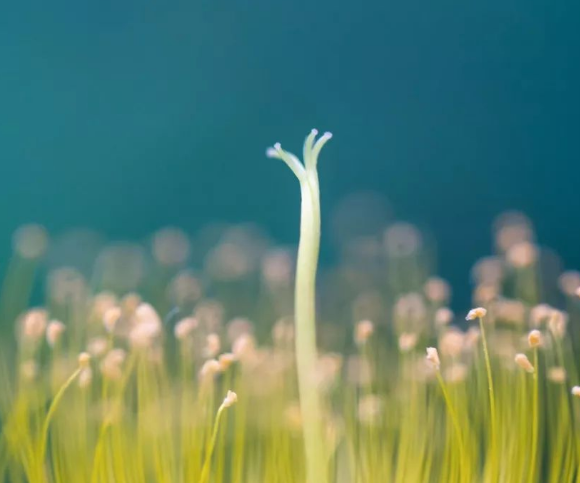 大學(xué)秩序維護(hù)、自律！