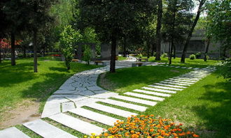 校園景觀設計可以劃分為哪幾類？