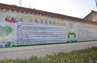 初中校園文化設計應該遵循哪些？