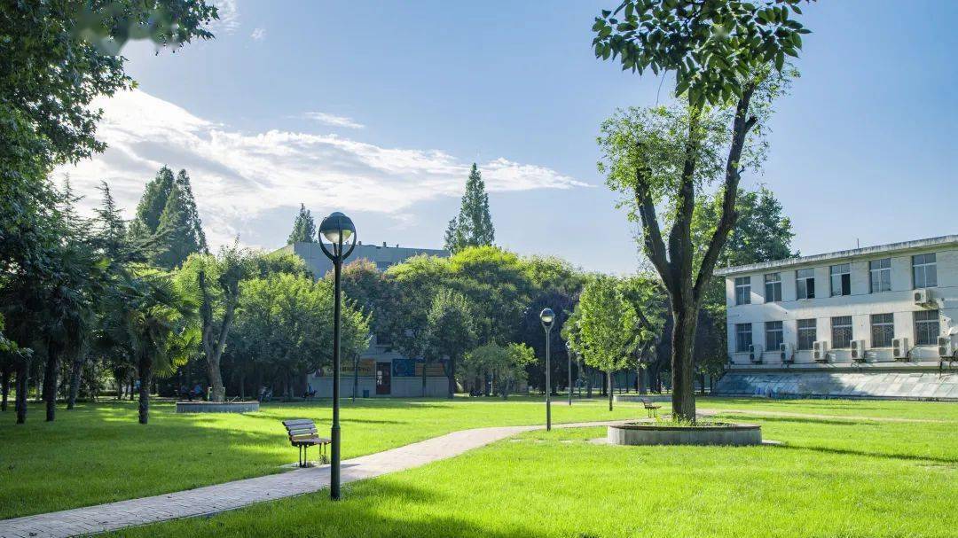 怎樣打造一個和諧的校園？