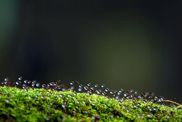 設(shè)計(jì)的核心