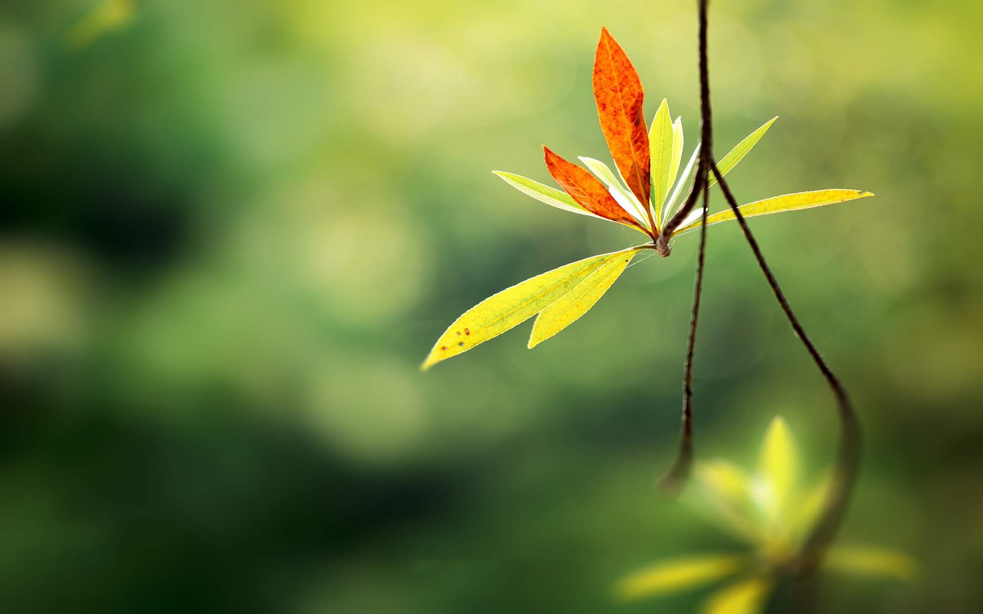 欣賞超凡的設(shè)計——認識設(shè)計者