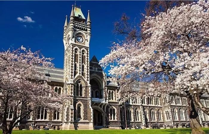 淺談大學校園的景觀設計