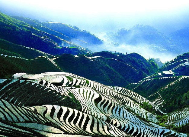 關(guān)于設(shè)計(jì)靈感唯美的文章